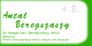 antal beregszaszy business card
